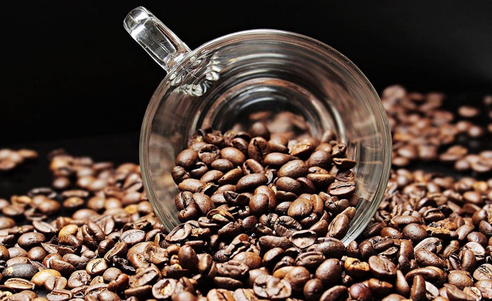 
                  
                    Probierpaket edle und hochwertige Kaffees - Katzenkaffe Kopi Luwak, Jamaika, Hawai Kona
                  
                