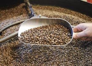 
                  
                    Kaffeeseminar
                  
                